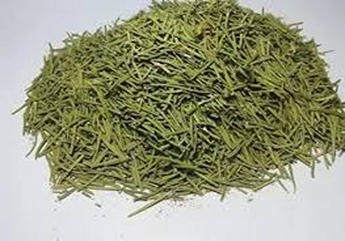 تصویر 3 از قیمت خرید گیاه رزماری خشک شده + فروش ویژه